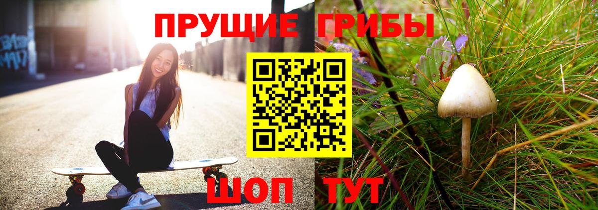Дедовск  дарнет шоп  Вход с VPN  Псилоцибиновые грибы Psilocybe 