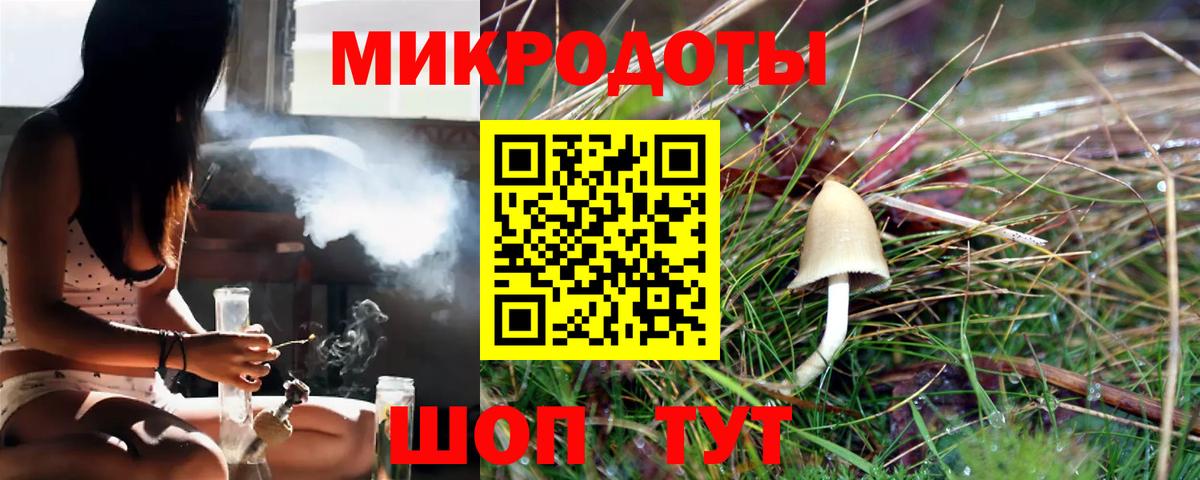 Галлюциногенные грибы прущие грибы Дедовск